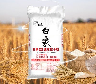 白象6A速冻饺子粉